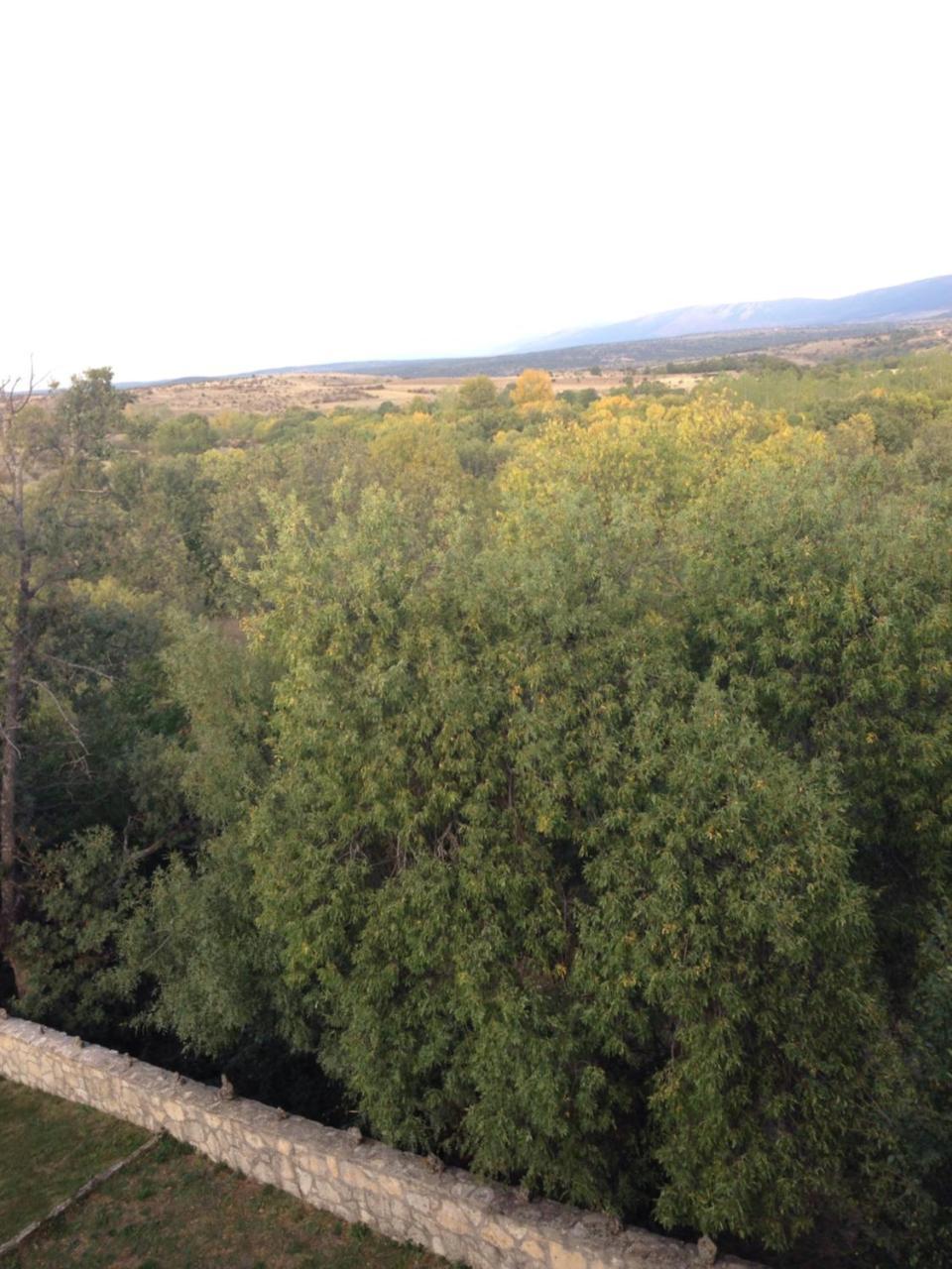 Apartamento Rural La Muralla De Pedraza Chavida Zewnętrze zdjęcie